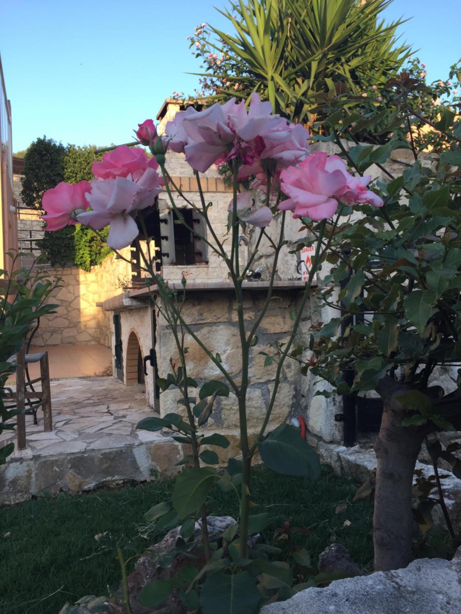 Meliades Villas Agia Marina Dış mekan fotoğraf